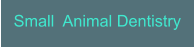 Small  Animal Dentistry
