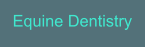 Equine Dentistry